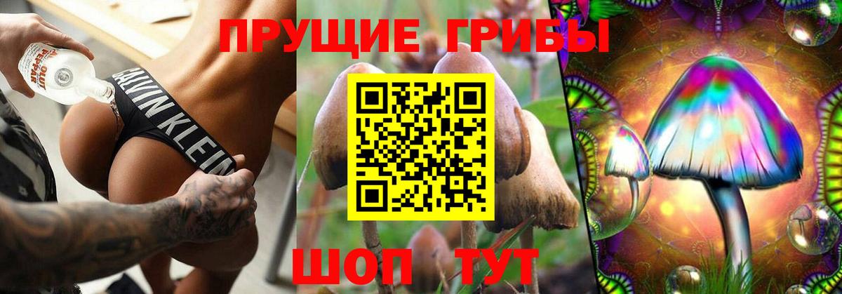 Псилоцибиновые грибы мухоморы  Вход с VPN  Псилоцибиновые грибы Psilocybine cubensis  Саяногорск 